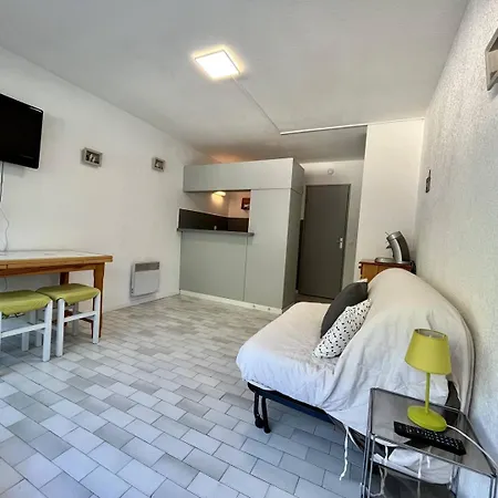 4 Personnes Avec Terrasse Et Place De Parking Privative Διαμέρισμα Le Grau-du-Roi